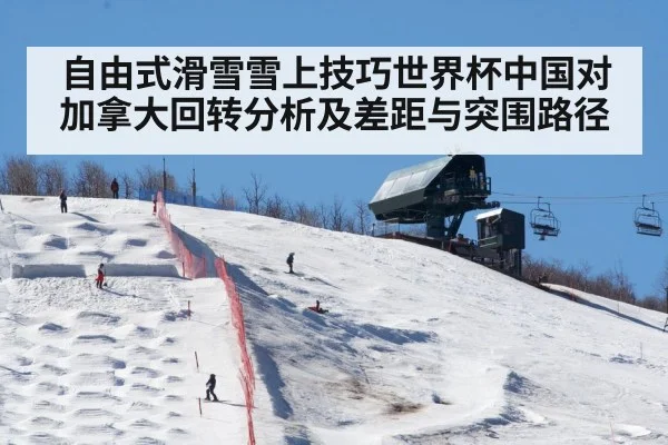 自由式滑雪雪上技巧世界杯中国对加拿大回转分析及差距与突围路径